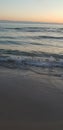 Baltic sea beach, seaside, coastline during sunset in summerÃ¢â¬â¢s evening.